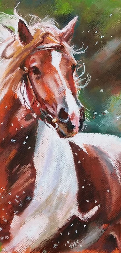 With wind in the mane by Magdalena Palega