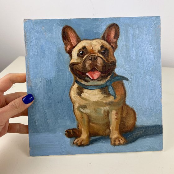 Frenchie dog