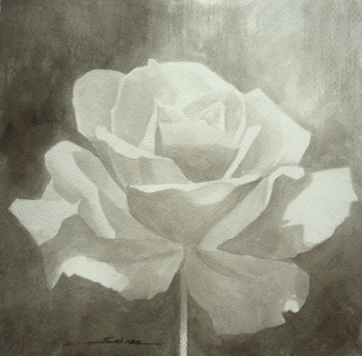 Black & White Rose by Natalia Salinas Mariscal