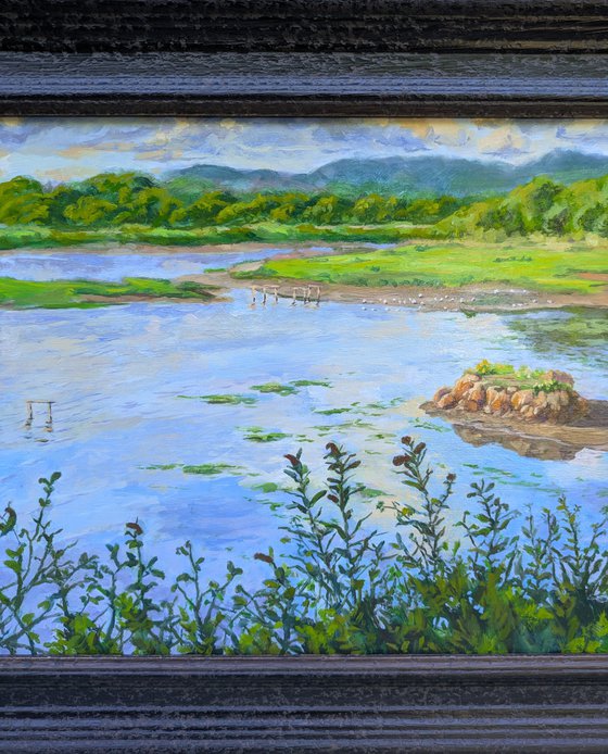 Saltram Marshes