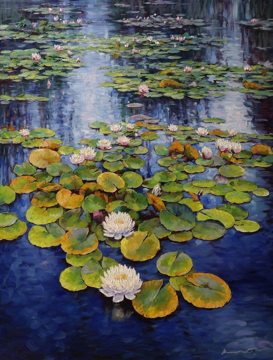 "The Silence of the Water Lilies"