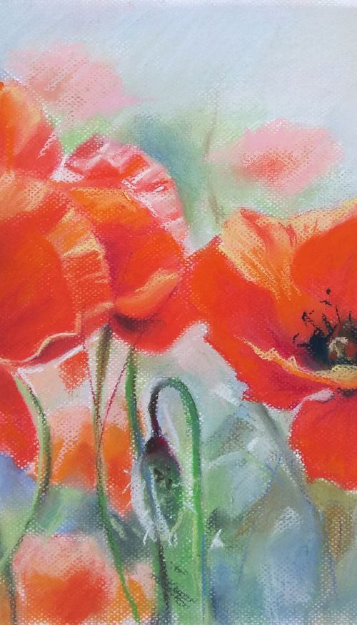 Field flowers by Magdalena Palega