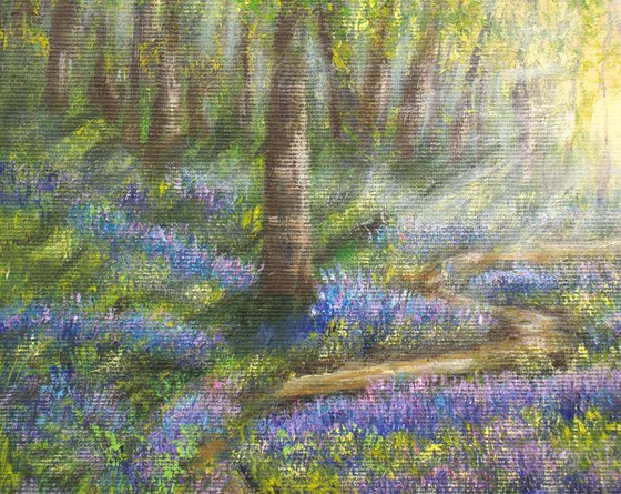Bluebells forest