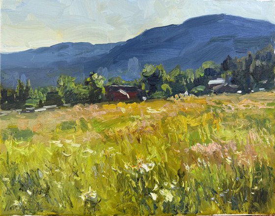 Summer Meadow