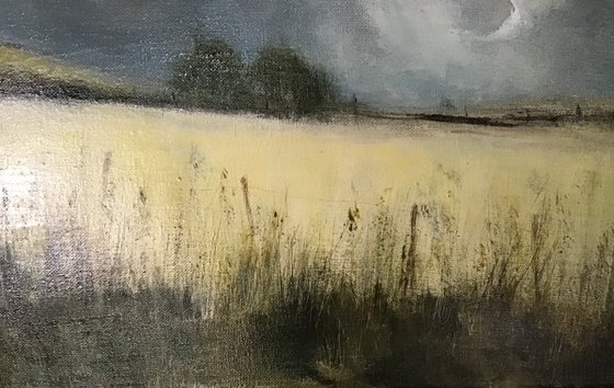 IN A IRISH MEADOW