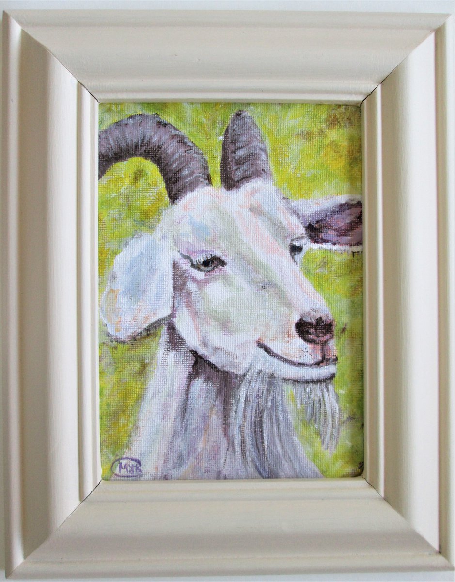 Cheeky Chappy, Goat, Farm Animal Framed original acrylic painting by MARJANSART