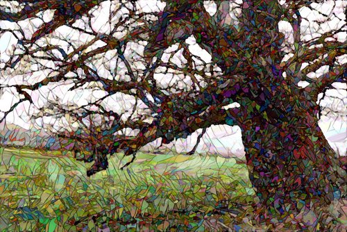 Landscape 15 - Welsh border tree by Tony Roberts
