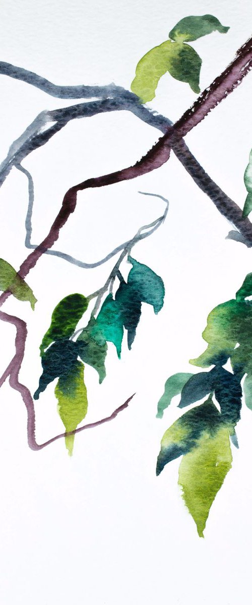 The Woods No. 71 by Elizabeth Becker