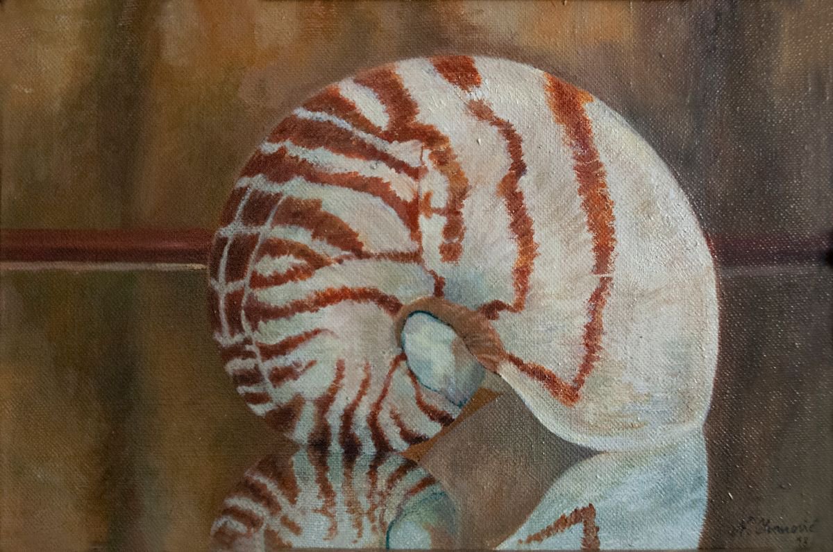 Photorealistic Still Life Oil Painting By Nikola Ivanovic, 15 X 11", Reflection I, Original Artwork