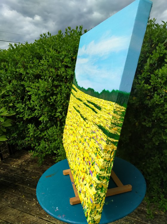 Summer Golden Fields