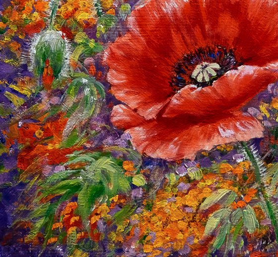 "Poppies with yellow flowers"