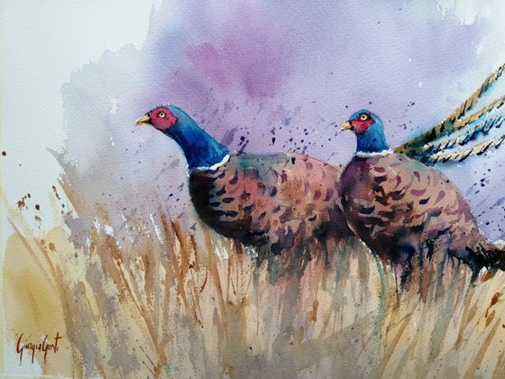 pheasant 3