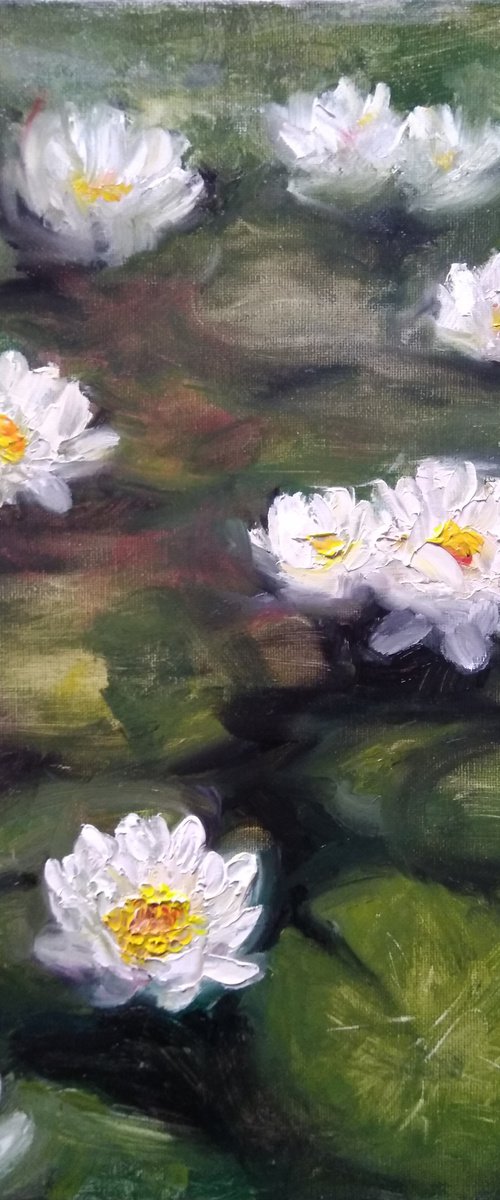 Water Lilies by HELINDA (Olga Müller)