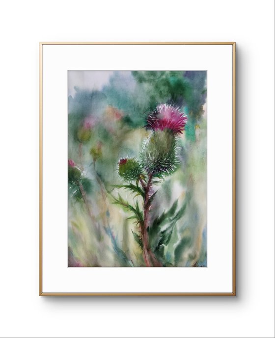 Scottish Thistle 2
