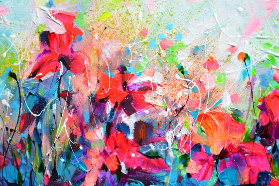 Red Wild Poppies Field at Dusk