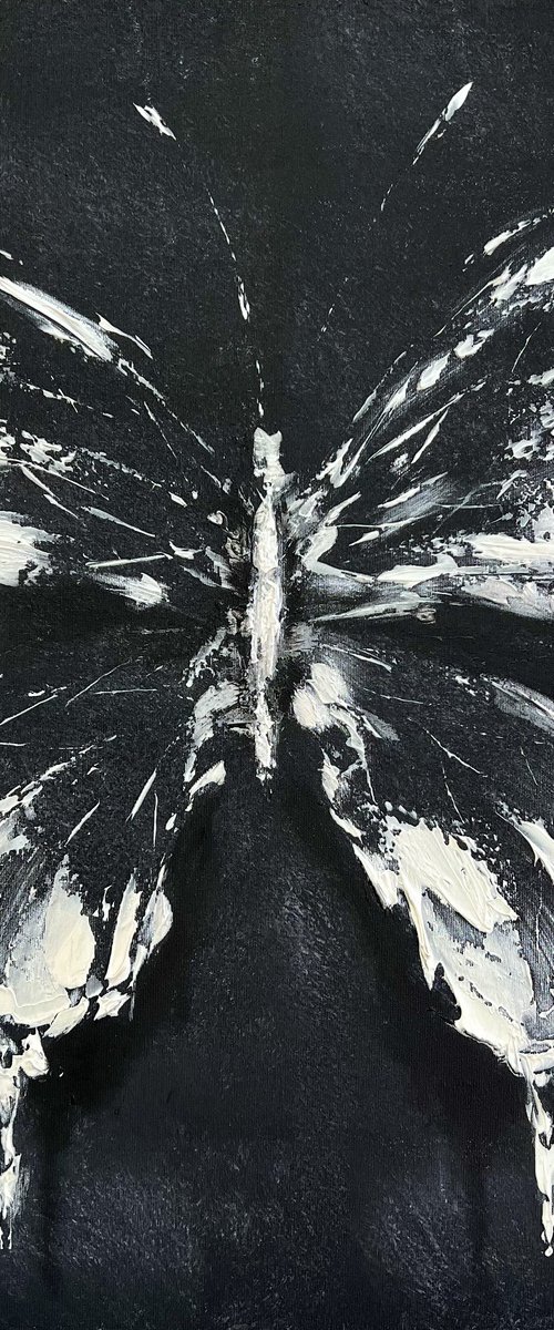 White Black Abstract butterfly by Marina Skromova