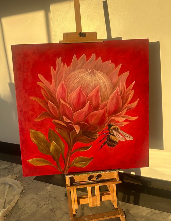 Protea