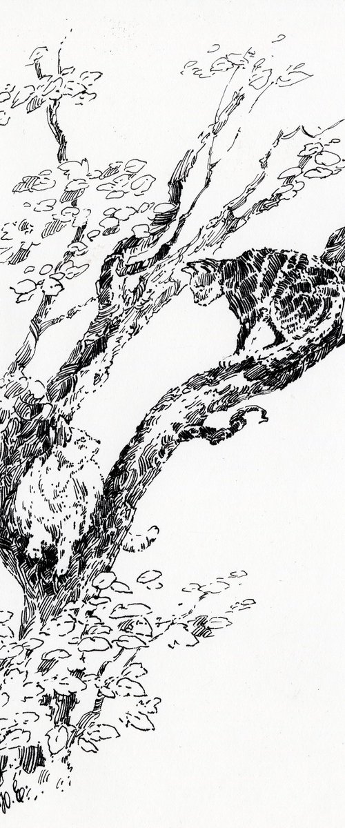 Cats in a tree by Yulia Evsyukova