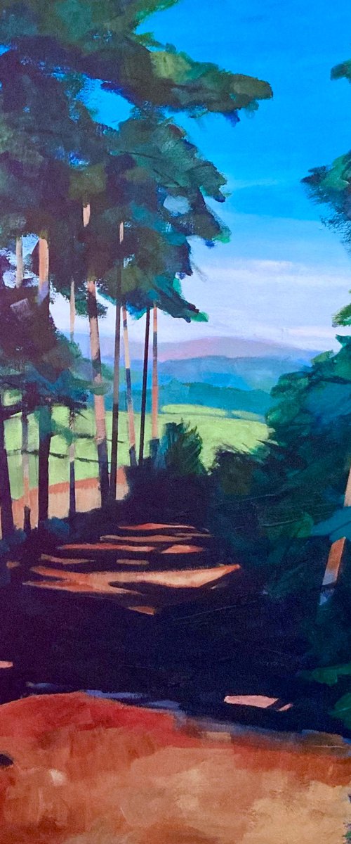 Top Path at Kinsley woods by Stuart Roper