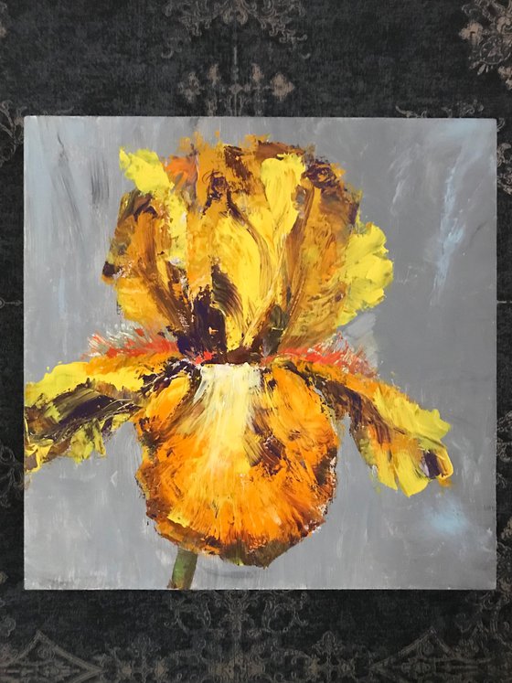 Iris yellow acrylic on canvas