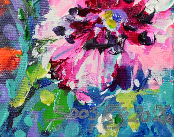 Papaveri Orientali Poppy Oriental Red Poppies