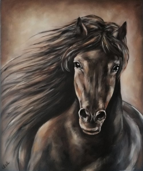 Arabian Horse - Original oil painting by Mateja Marinko