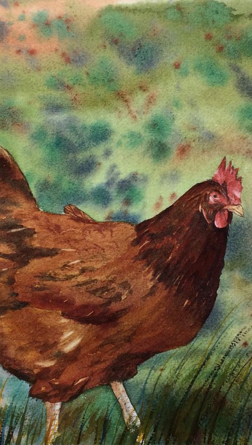 Chicken thoughts by Silvie Wright