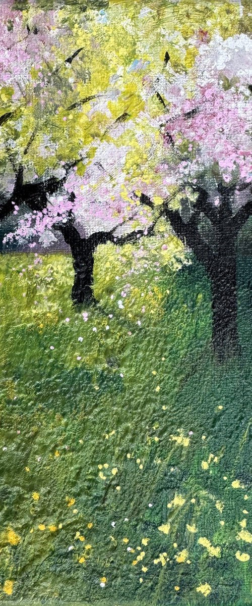 Pink Blossom in the Orchard by Teresa Tanner