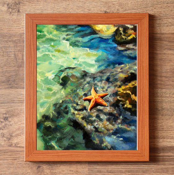 Starfish on rocky shore at summer