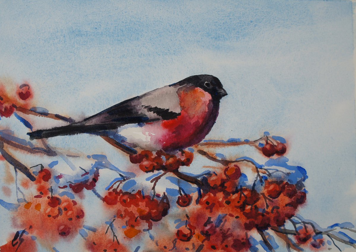 Bullfinch by Elena Sanina