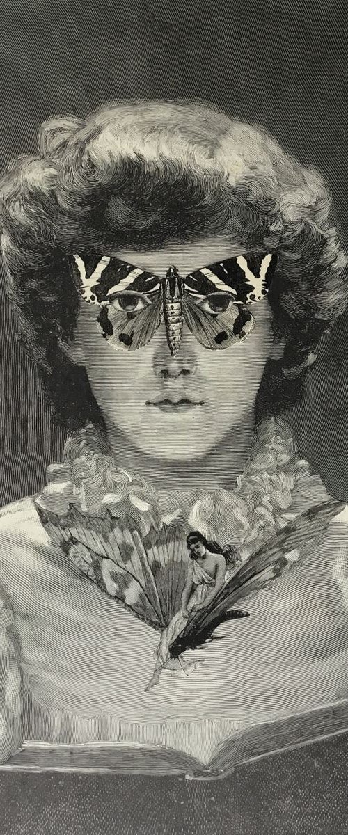 Butterfly ….. by Tudor Evans