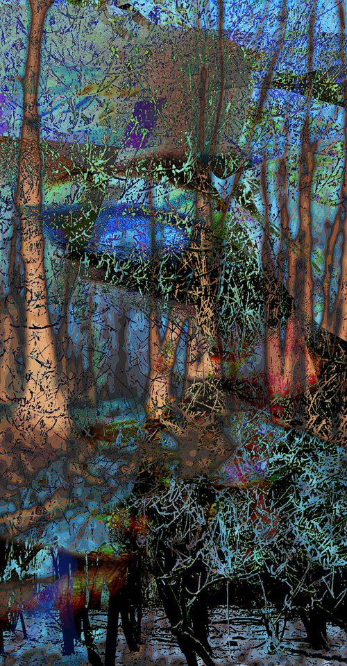 Dreamland Forrest I by Geert Lemmers FPA