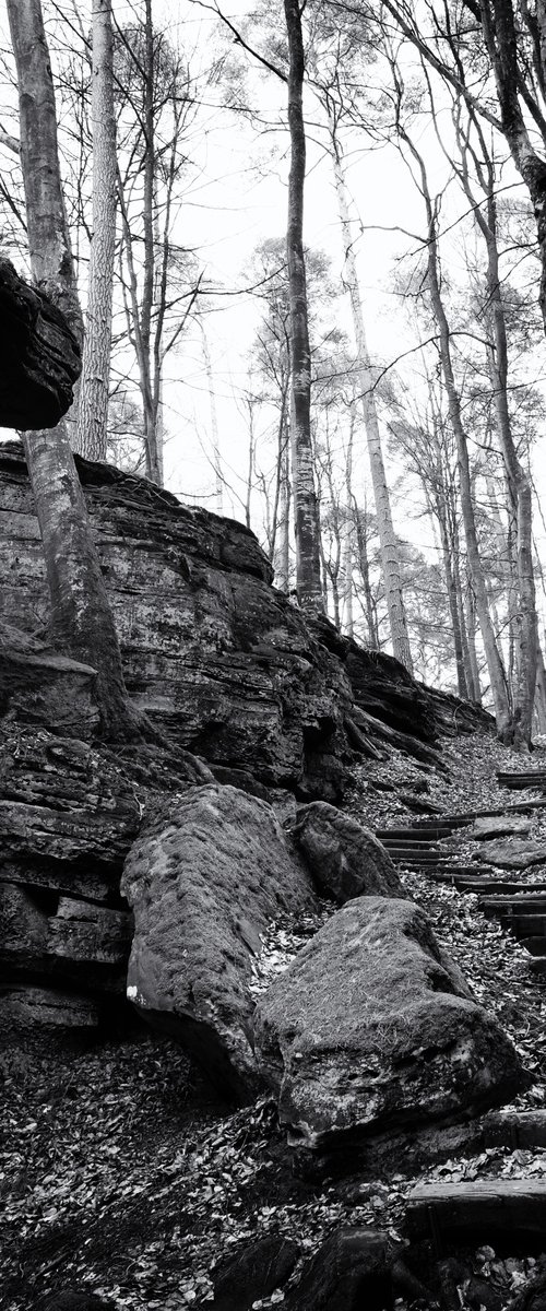 my way between rocks and trees by Christian  Schwarz