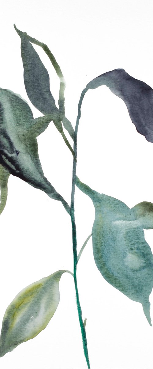 Plant Study No. 84 by Elizabeth Becker