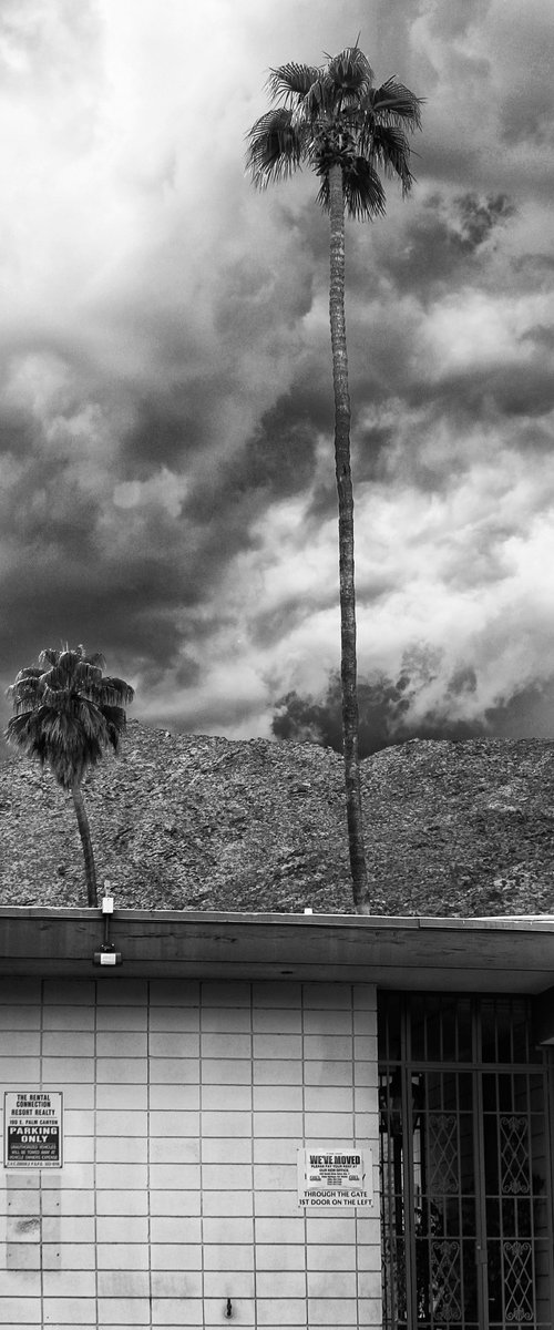 RIGHT HERE OR OVER THERE Palm Springs CA by William Dey