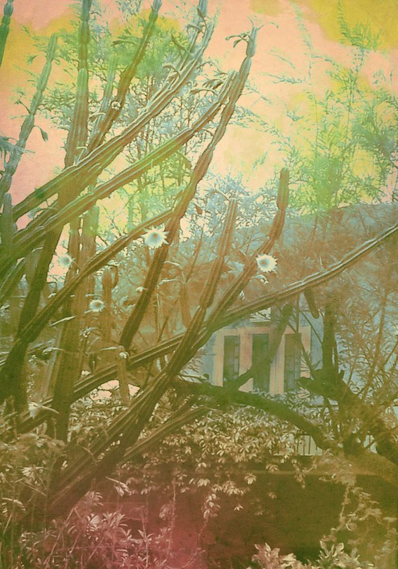 untitled - 31C