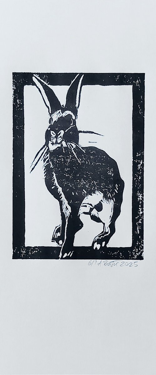 Rabbit 6/7 by Aleksandar Bašić