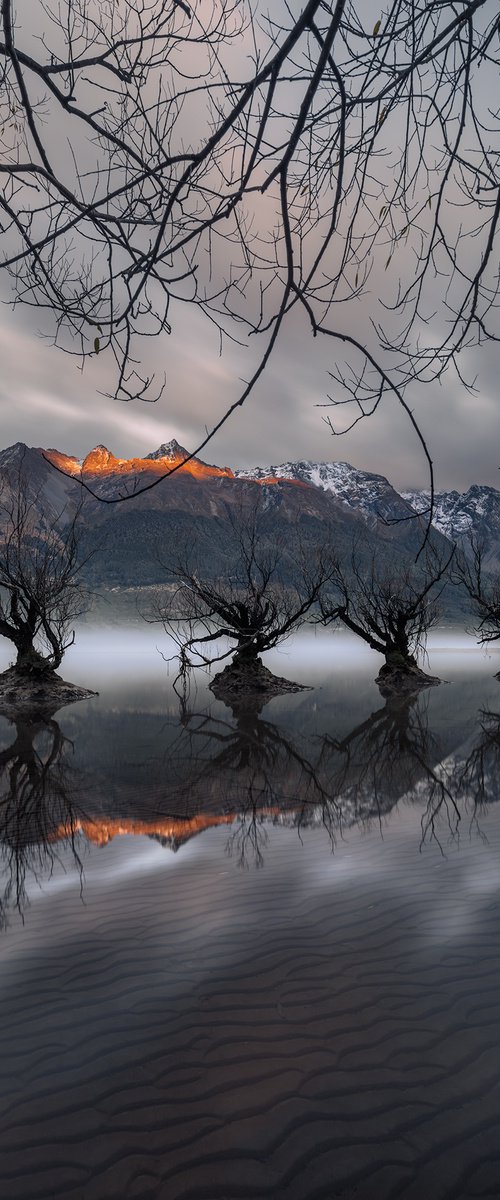 Willow Guardians by Nick Psomiadis