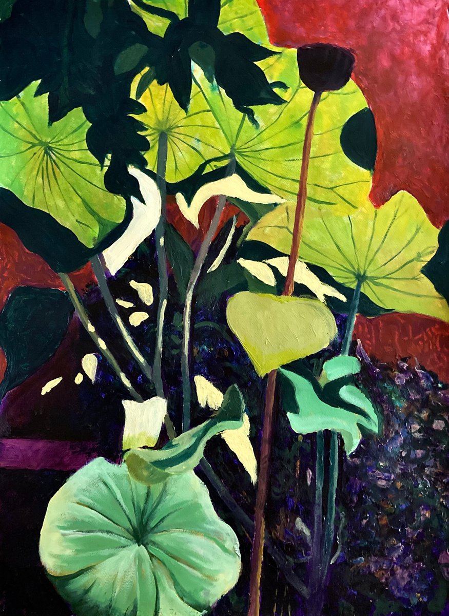 Lotus leaves by John Cottee