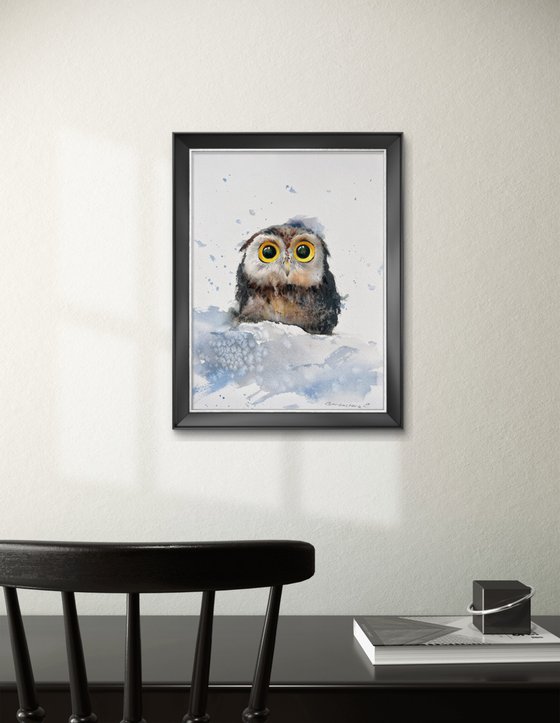 Owlet in a snowdrift