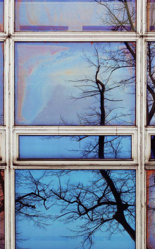 Civilization's windows to nature by Ákos Nagy