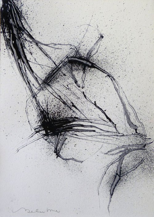 Structured Dispersal 3, 21x29 cm by Frederic Belaubre