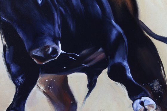 Bull