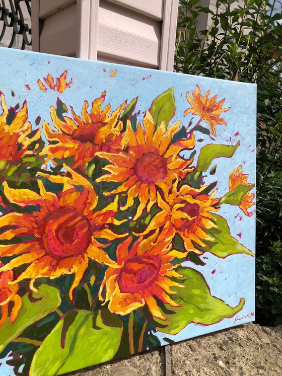Dance of sunflowers