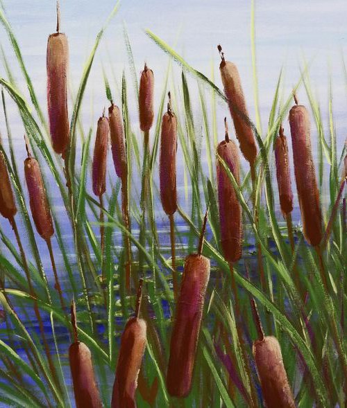 Cattails - From Giverny with love by Danijela Dan