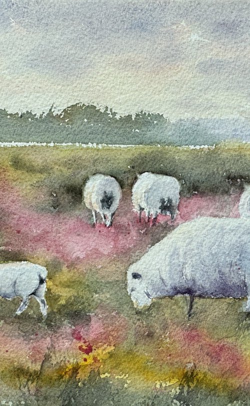 Sheep with Heather blossoms by Shelly Du