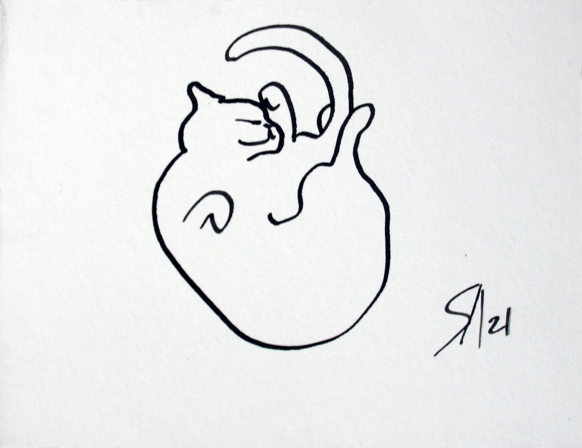 Animal Ink Drawing By Salana Art / Svetlana Samovarova, 5 X 4", Cat Portrait Iv, Original Artwork