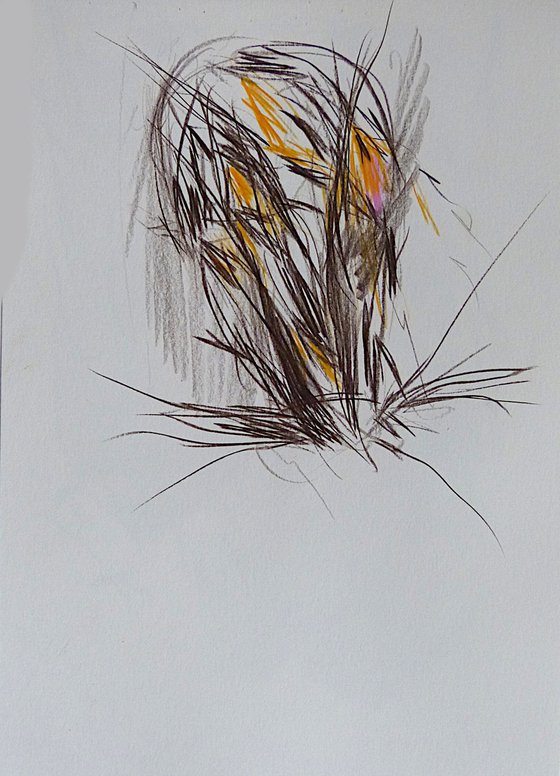Expressive sketch
