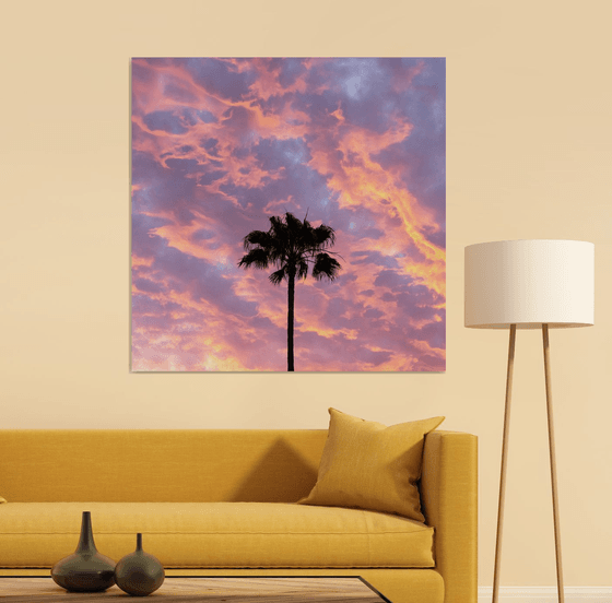 CANARY PALM SILHOUETTE