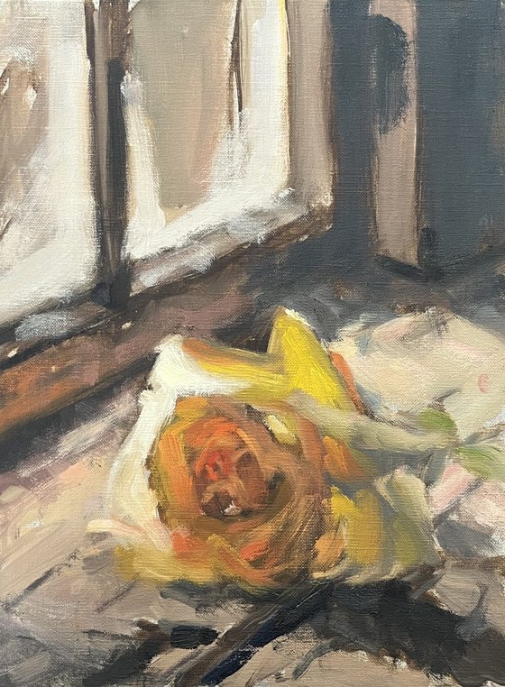 Study of Yellow Rose